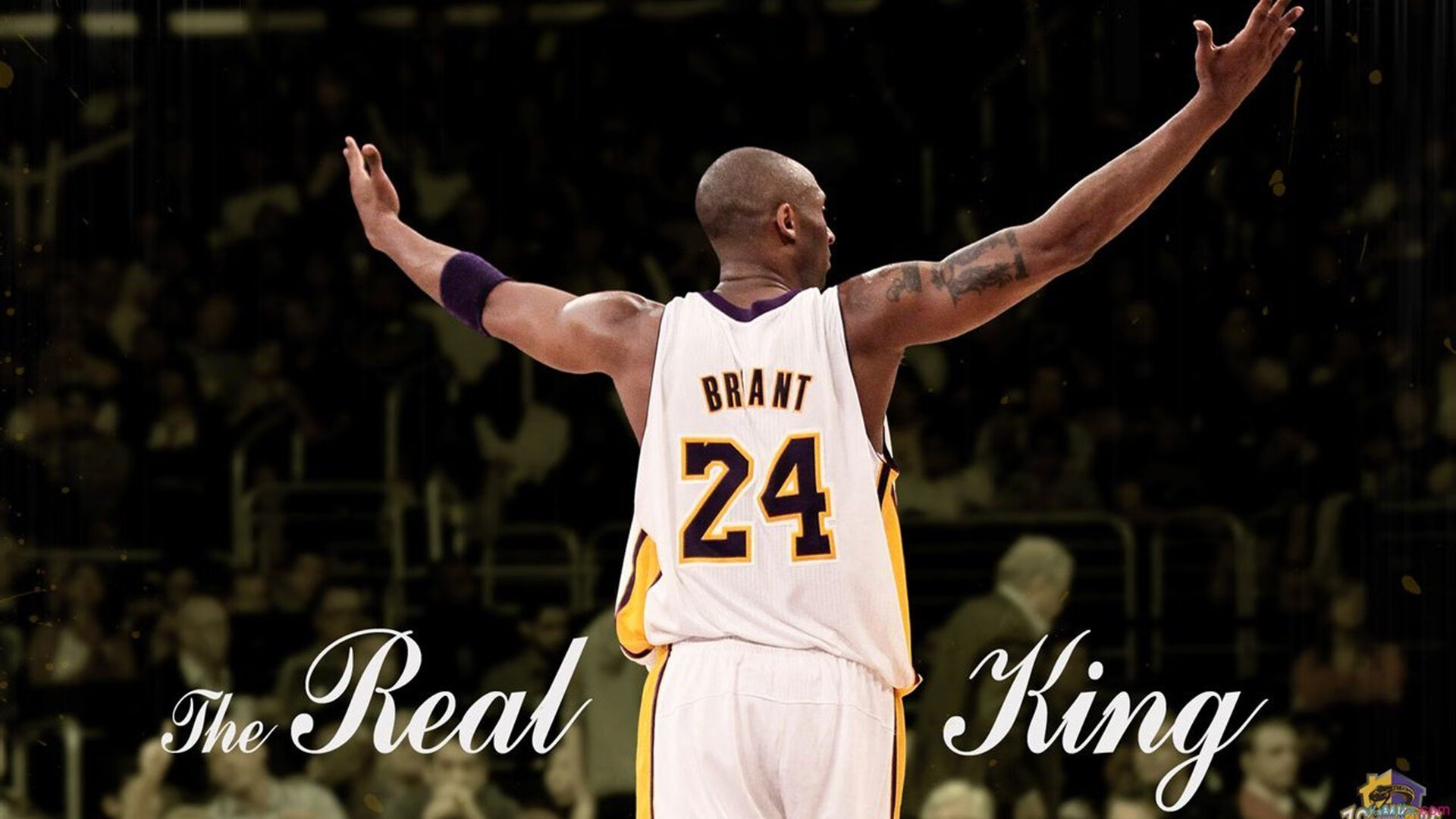 篮球职业联赛品牌影响力不断扩大，职业篮球联赛的英文简称是